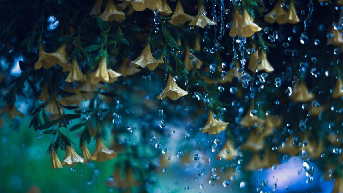 1 августа 2021 - какой праздник сегодня и что нельзя делать