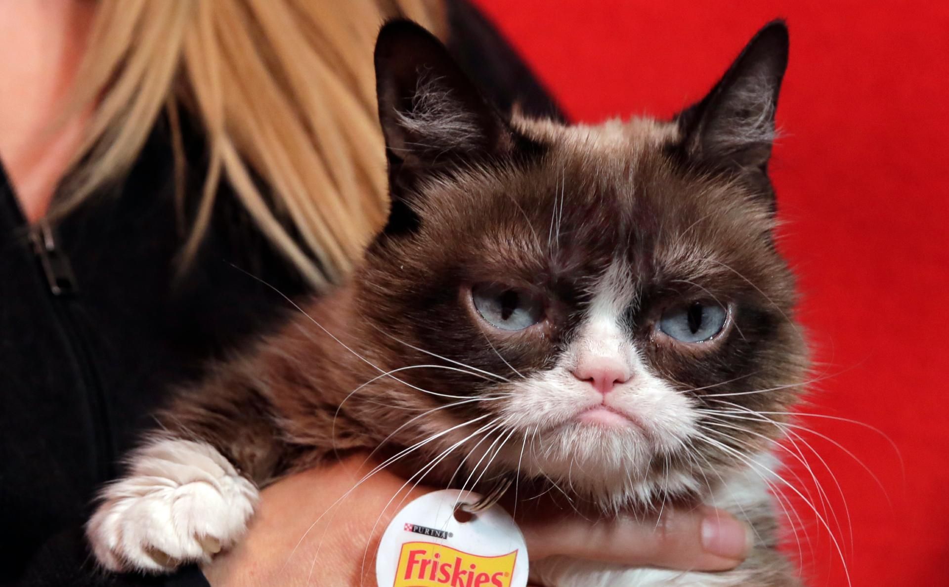 Що робити в День святого Валентина у 2021 році, якщо немає хлопця Що робити в День святого Валентина у 2021 році, якщо немає хлопця