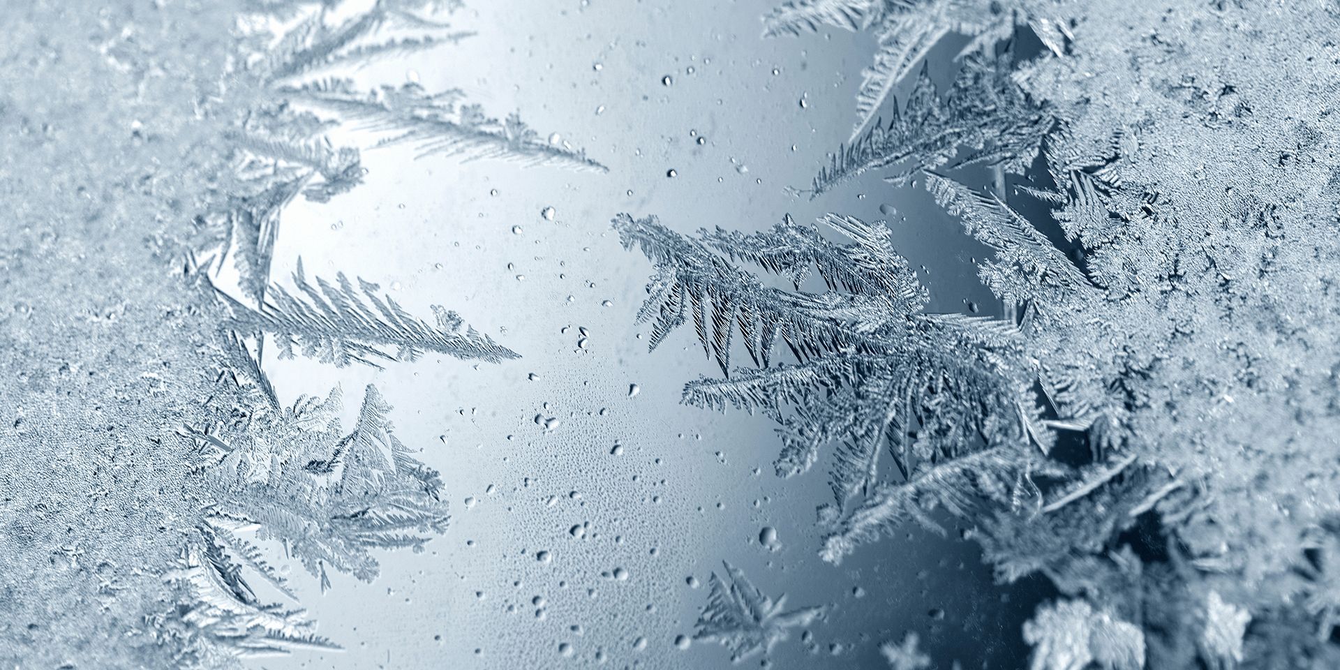 Какой праздник 23 декабря 2020 и что нельзя делать Какой праздник 23 декабря 2020 и что нельзя делать