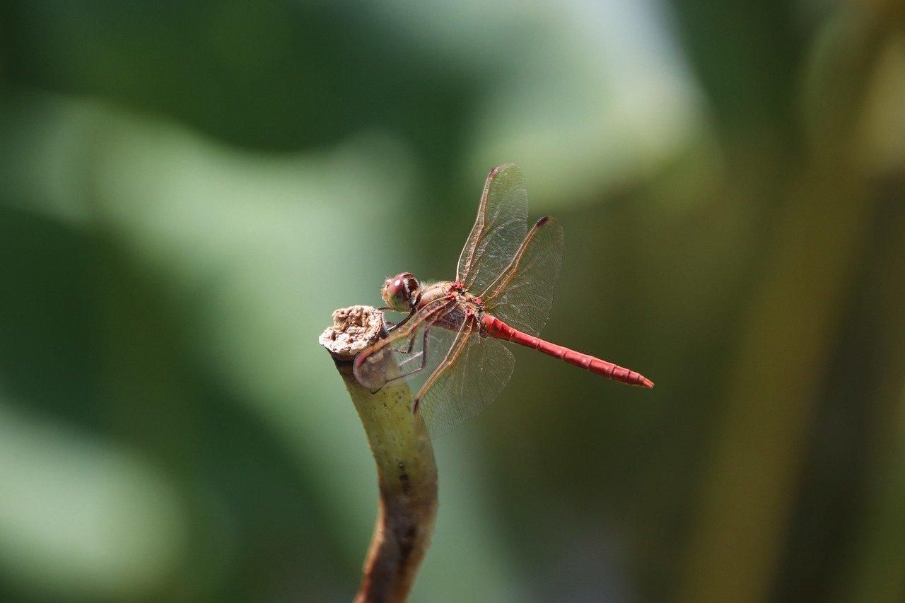 Яке свято сьогодні 3 квітня 2021 та що не можна робити Яке свято сьогодні 3 квітня 2021 та що не можна робити