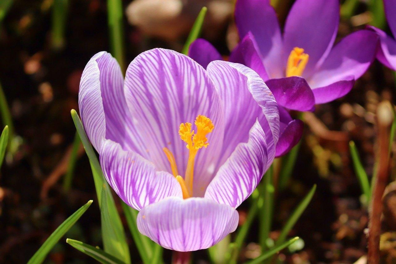 5 квітня 2021 – яке свято сьогодні, що не можна робити 5 квітня 2021 – яке свято сьогодні, що не можна робити