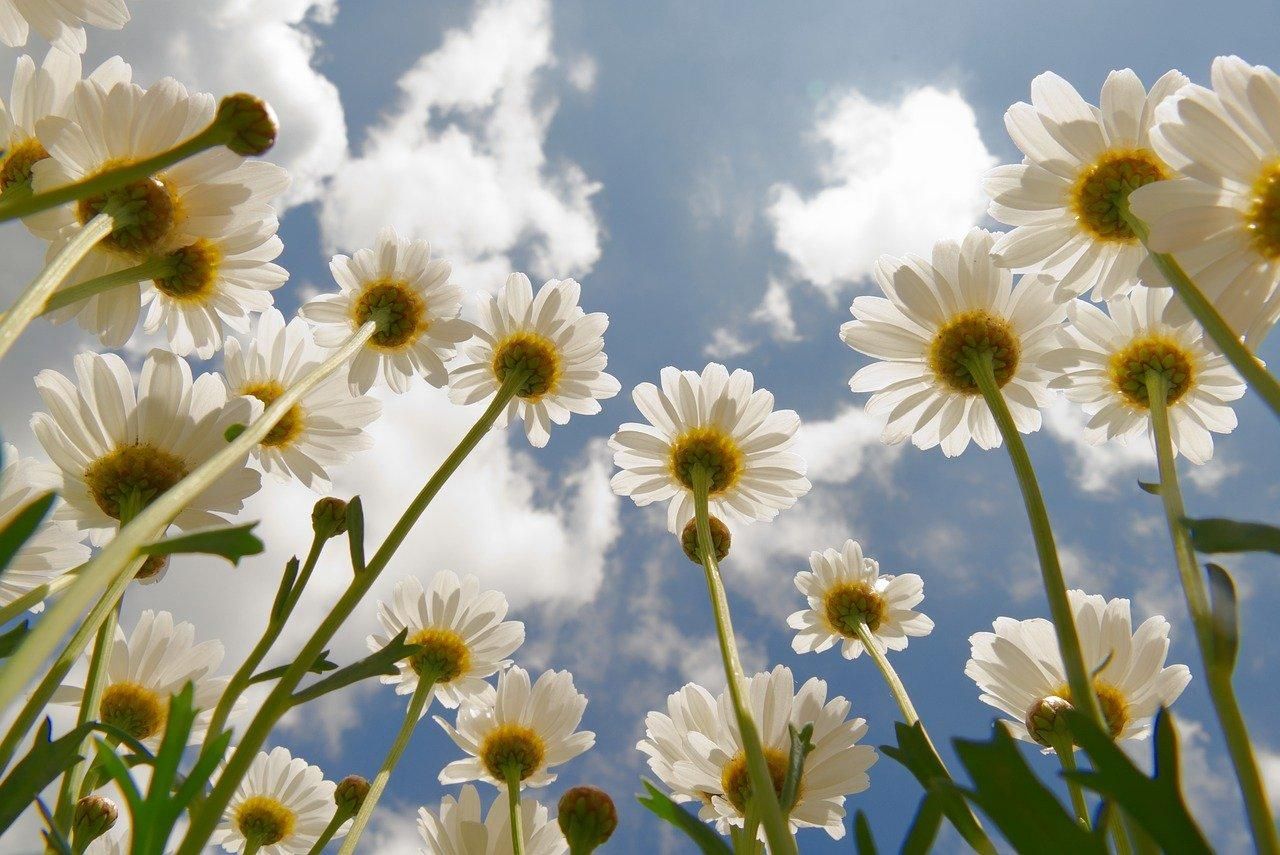 11 июня 2021 – какой праздник сегодня и что нельзя делать 11 июня 2021 – какой праздник сегодня и что нельзя делать