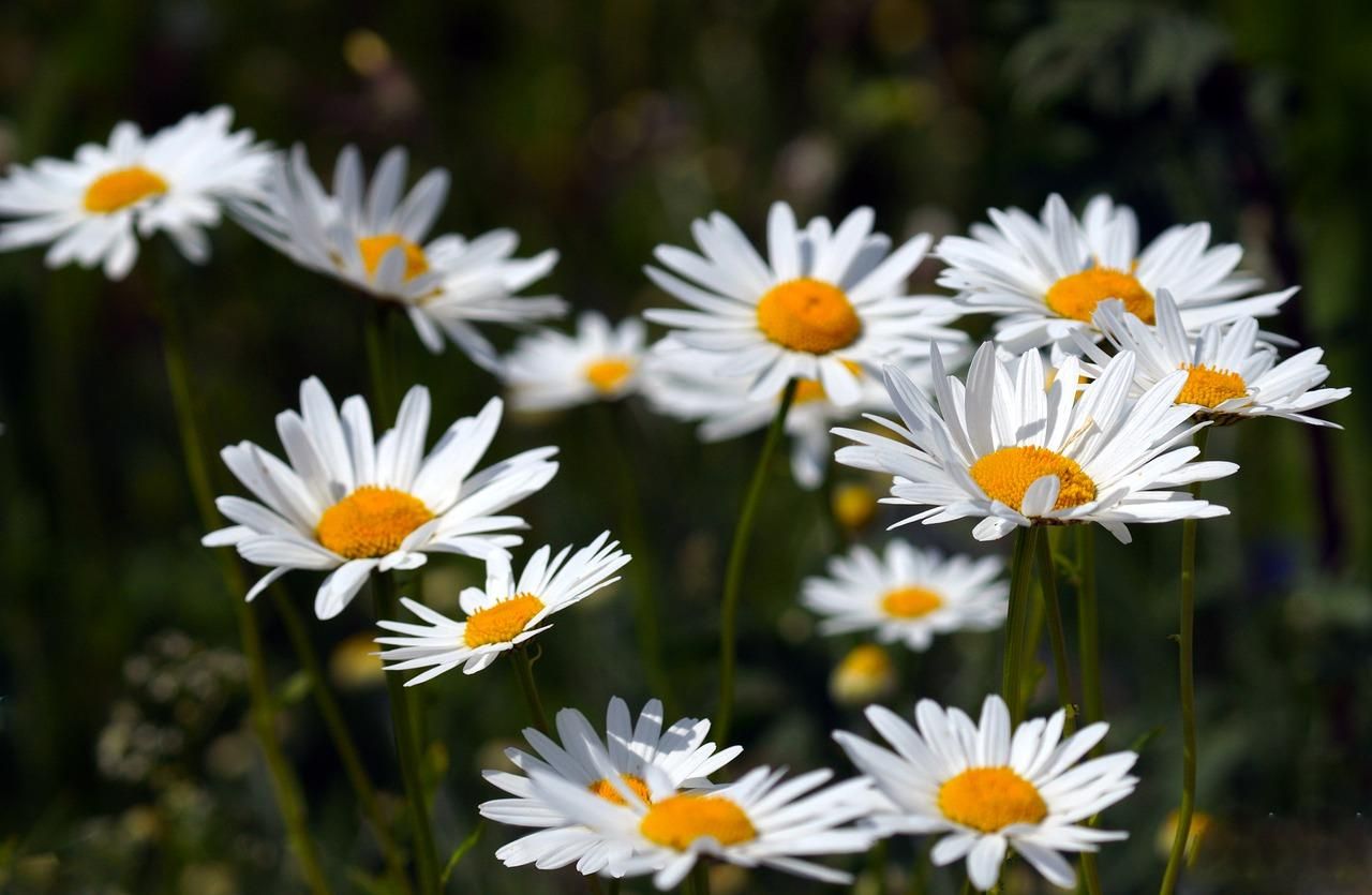 4 июля 2021 – какой праздник и что нельзя делать 4 июля 2021 – какой праздник и что нельзя делать