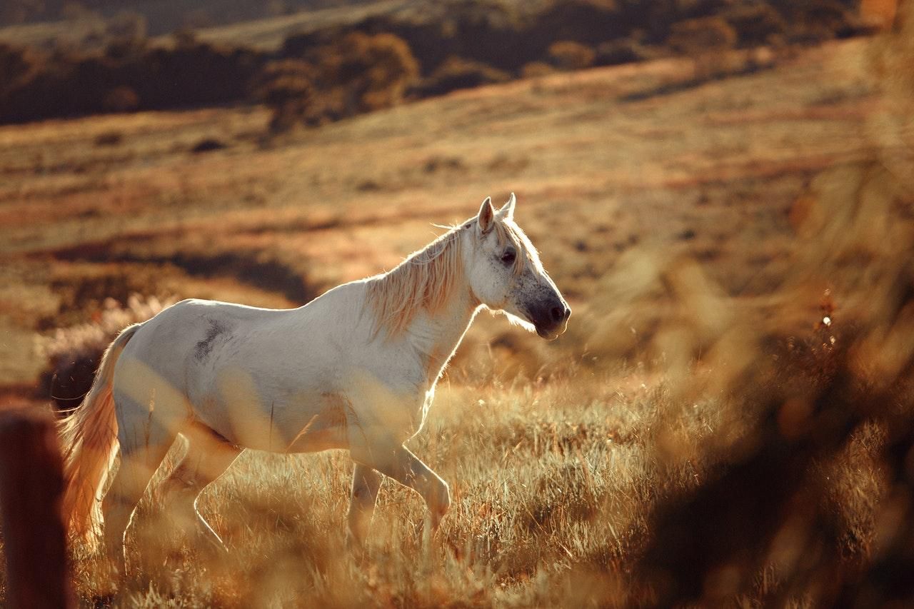 15 августа 2021 – какой праздник сегодня и что нельзя делать 15 августа 2021 – какой праздник сегодня и что нельзя делать