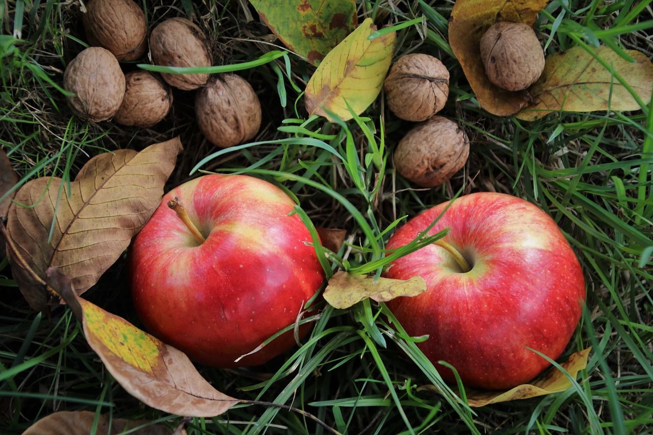 30 августа 2021 – какой праздник и что нельзя делать 30 августа 2021 – какой праздник и что нельзя делать