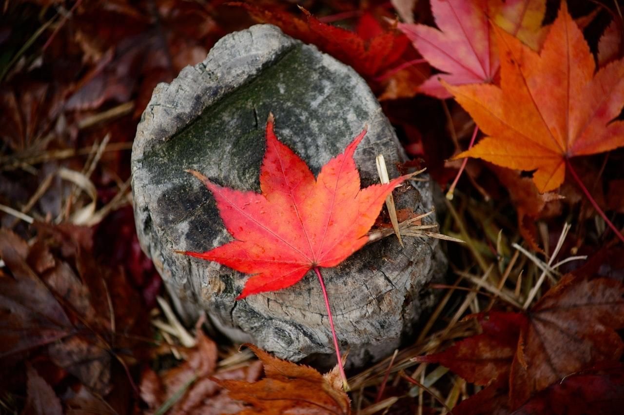 10 сентября 2021 – какой праздник и что нельзя делать 10 сентября 2021 – какой праздник и что нельзя делать