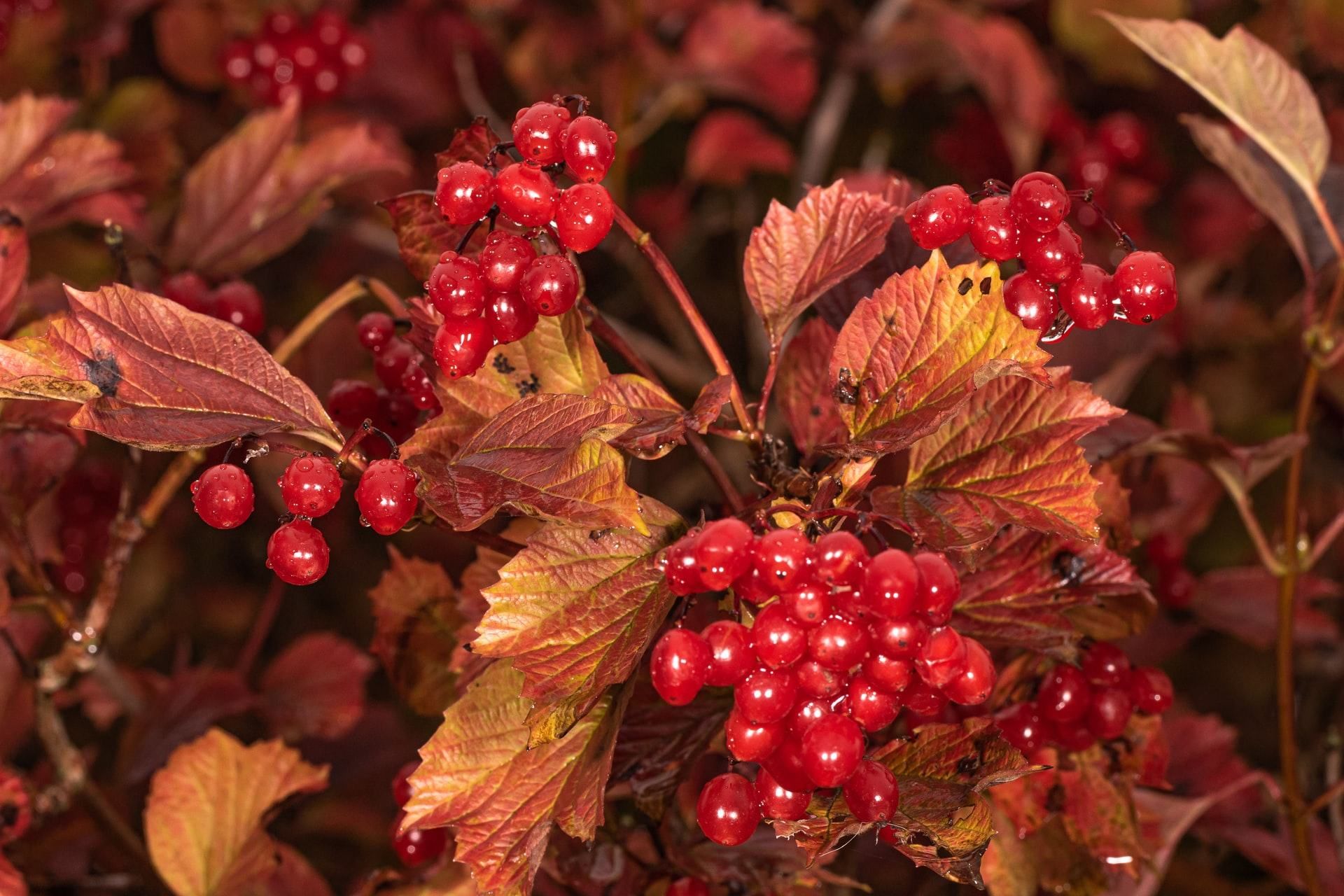 8 октября 2021 – какой праздник сегодня и что нельзя делать 8 октября 2021 – какой праздник сегодня и что нельзя делать