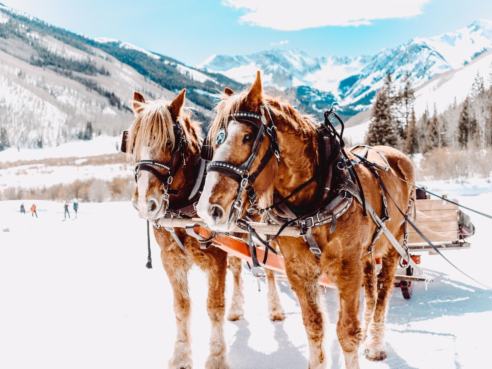 8 февраля – какой сегодня праздник и что нельзя делать в этот день 8 февраля – какой сегодня праздник и что нельзя делать в этот день
