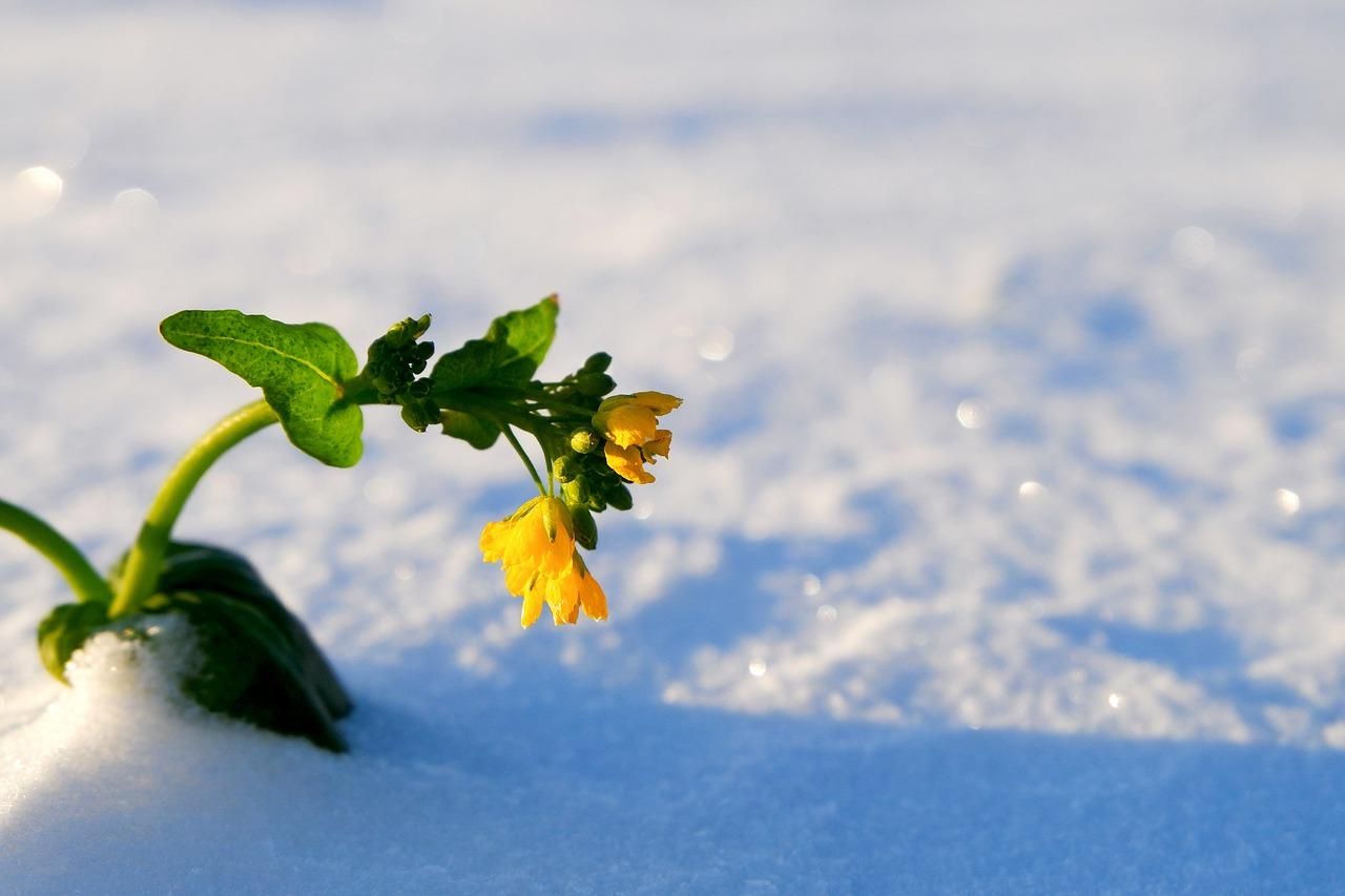 19 лютого – яке сьогодні свято і що не можна робити у цей день - Традиції 19 лютого – яке сьогодні свято і що не можна робити у цей день - Традиції