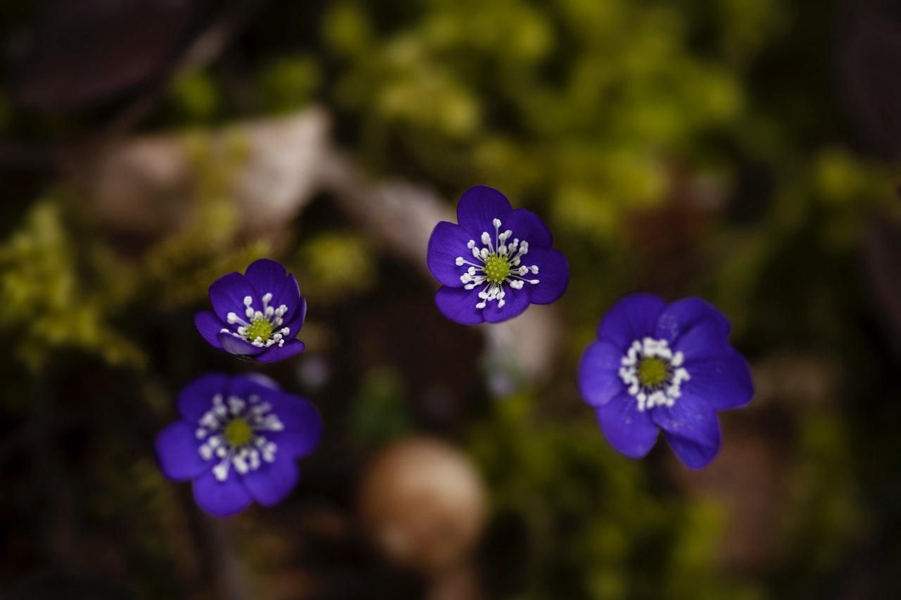 4 марта – какой сегодня праздник и что нельзя делать в этот день - 4 марта 2022 - Традиции 4 марта – какой сегодня праздник и что нельзя делать в этот день - 4 марта 2022 - Традиции