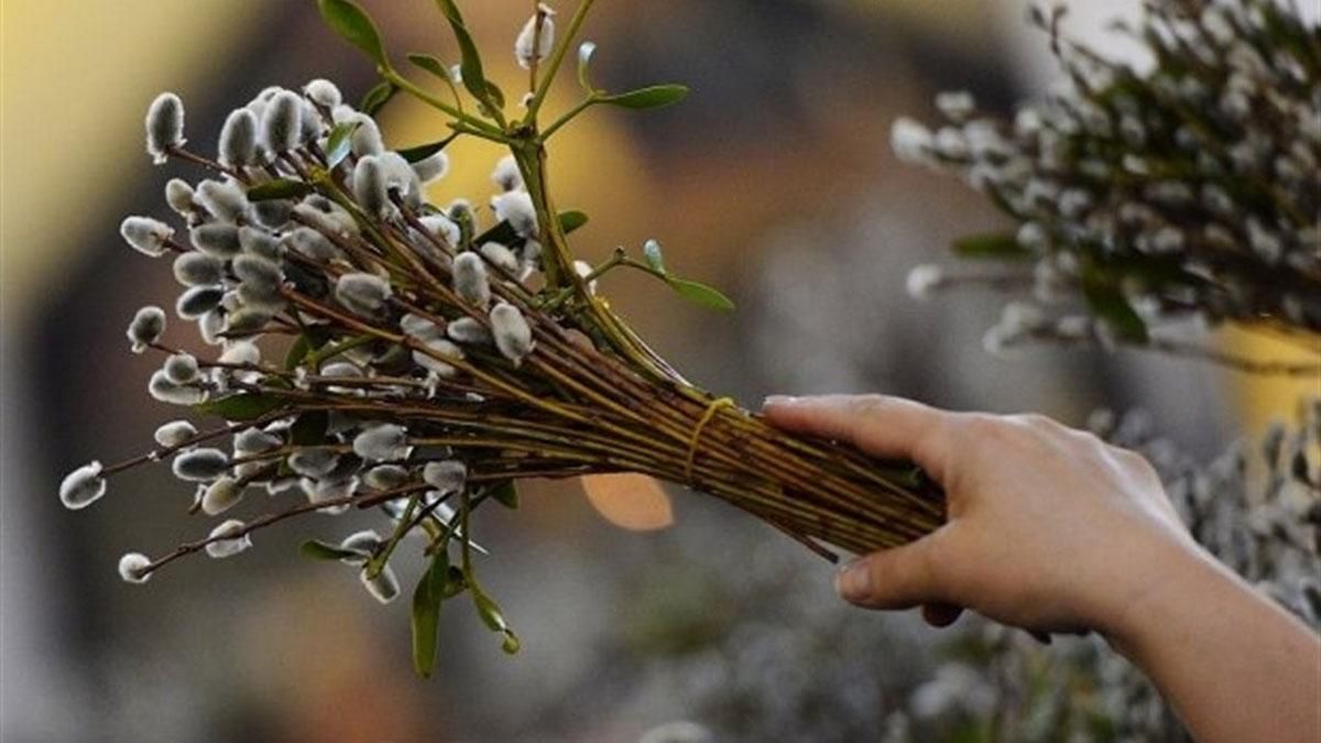 Вербна неділя 2022: традиція свята, що не можна робити в цей день Вербна неділя 2022: традиція свята, що не можна робити в цей день